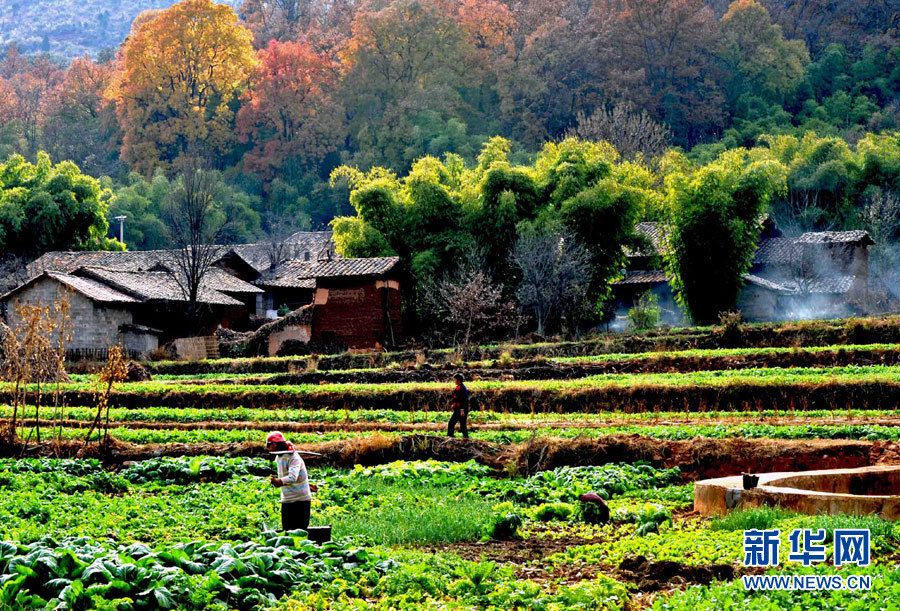 Красивые сельские пейзажи в провинции Юньнань