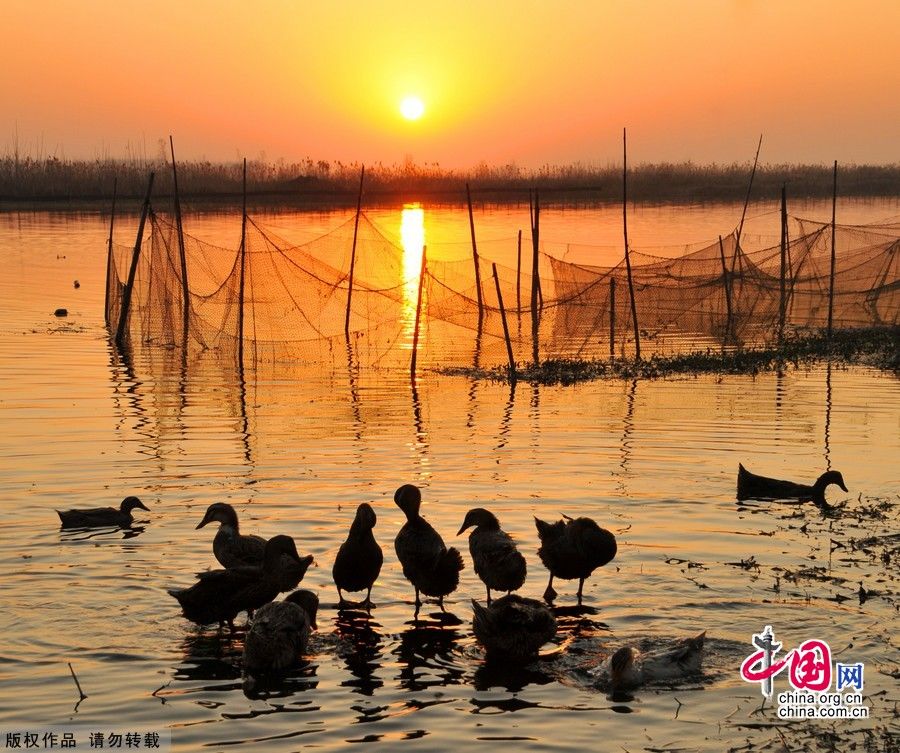 Тихое озеро Вэйшаньху в провинции Шаньдун
