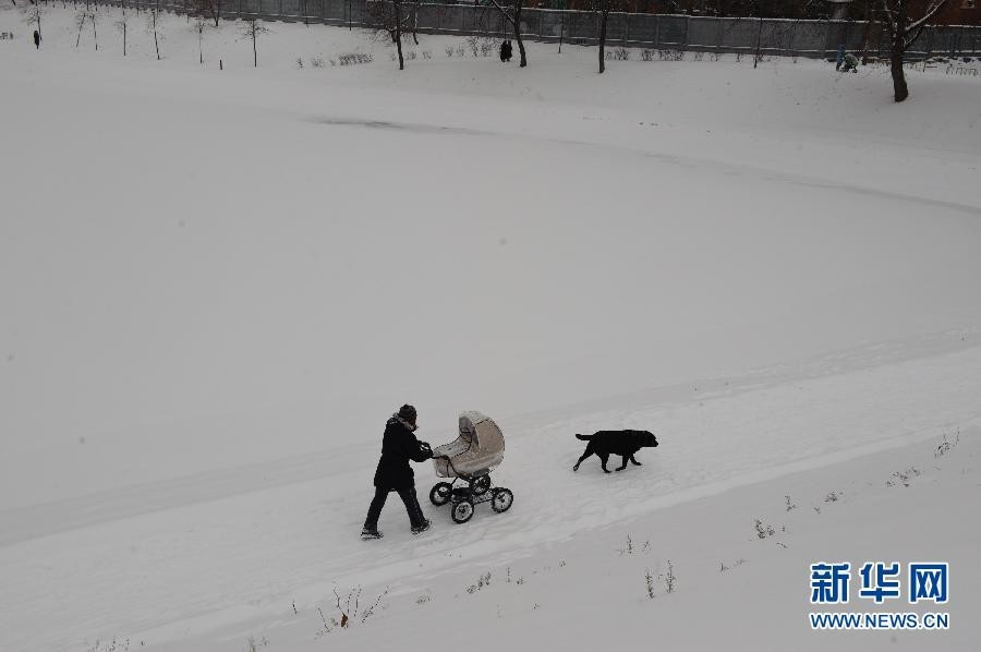 Сильный снегопад в Москве1
