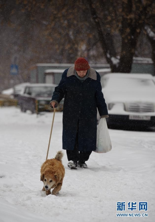 Сильный снегопад в Москве2