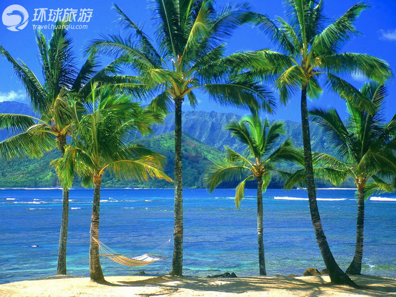 Тропики, гамак и удовольствия