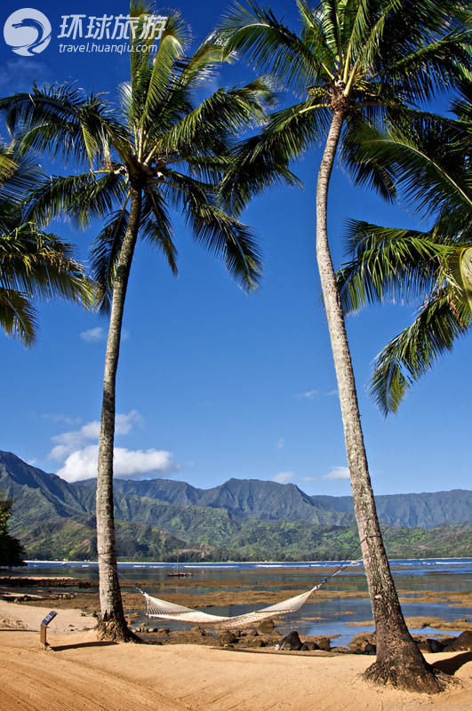 Тропики, гамак и удовольствия