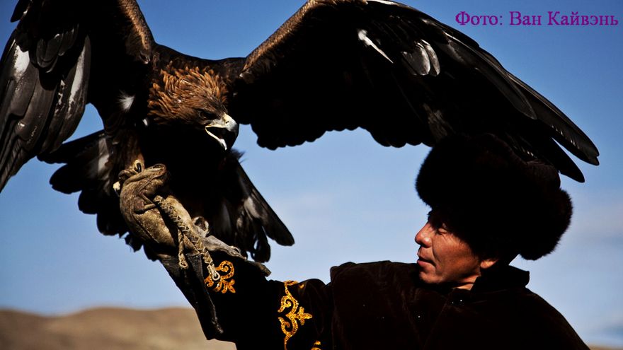 На фото: охотник и его сокол на охотничьем фестивале в Кыргызстане.
