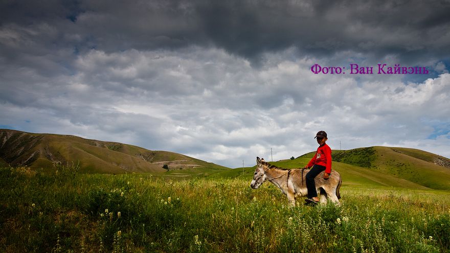 На фото: местный пастушок в Кыргызстане.