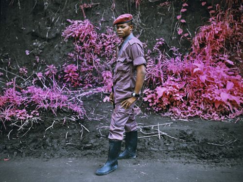 Розовый Конго в объективе фотографа