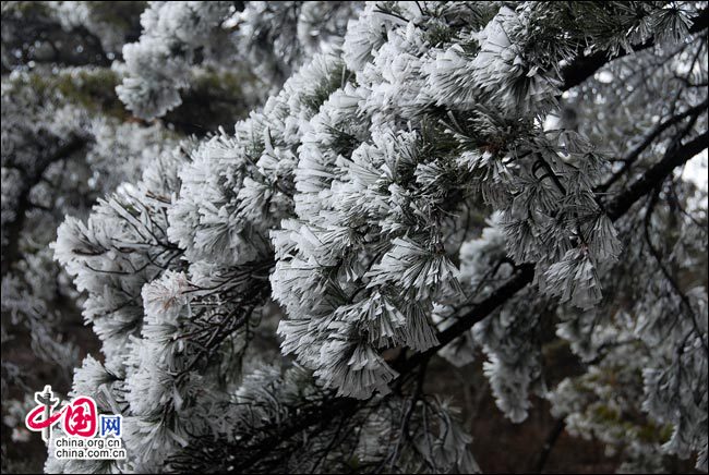 Неповторимая зимняя красота в горах Хуаншань