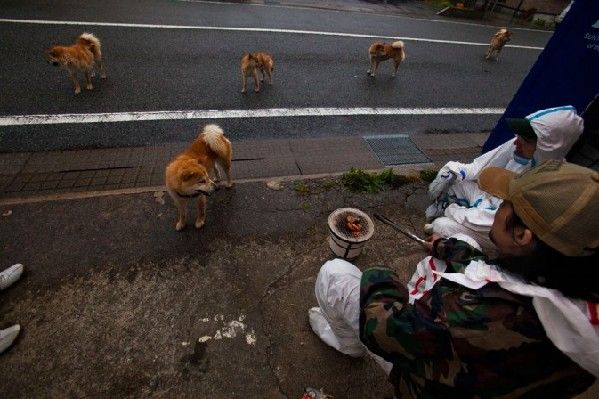 «Восточная Припять» – вход в закрытый район Японии, пострадавший от ядерной утечки