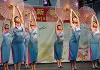 Ансамбль «Культурный Китай – Весь мир отмечает Праздник Весны» привез китайскую культуру в Нидерланды