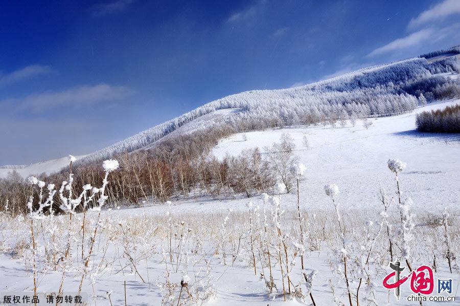 Зимний пик хребта Большой Хинган - Хуанганлян