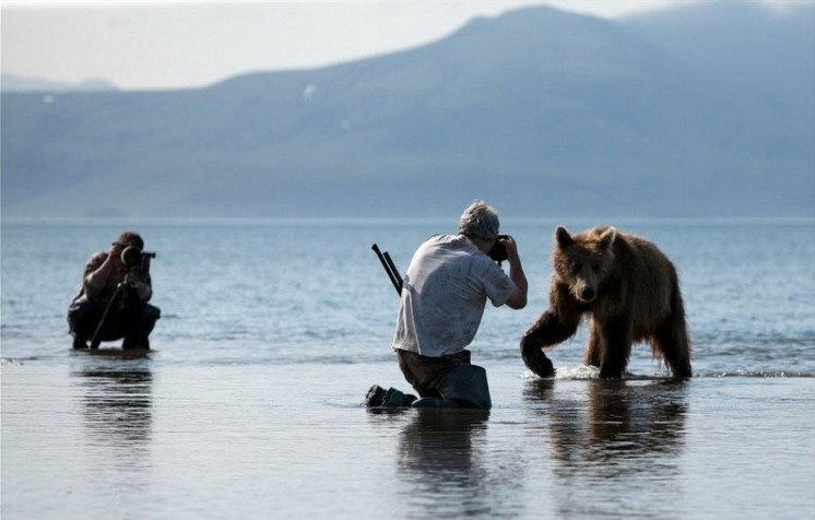 Российские фотографы, рискуя жизнью, приблизились к семье медведей, и сделали уникальную серию фотографий. 