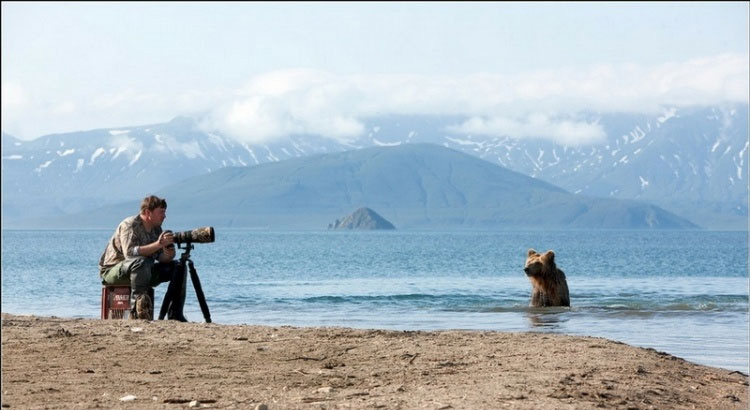 Российские фотографы, рискуя жизнью, приблизились к семье медведей, и сделали уникальную серию фотографий. 