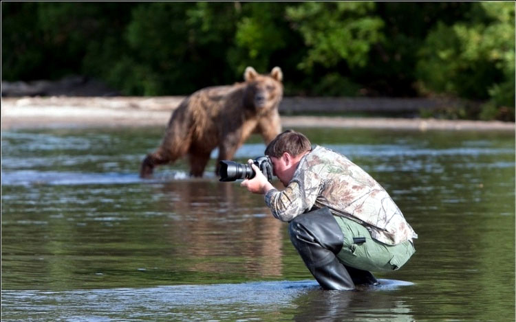 Российские фотографы, рискуя жизнью, приблизились к семье медведей, и сделали уникальную серию фотографий. 