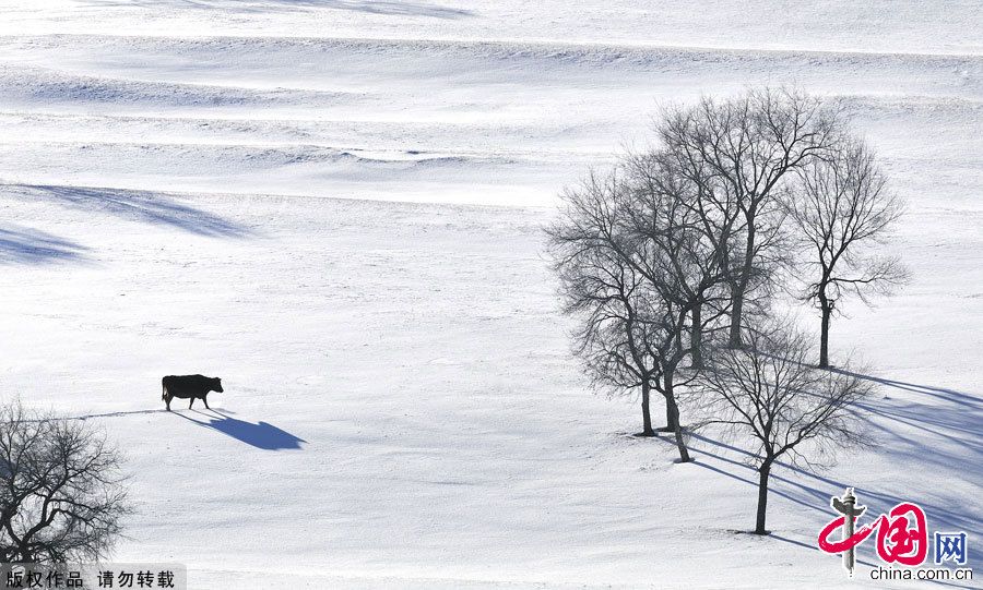 Живописные пейзажи склона Хамаба