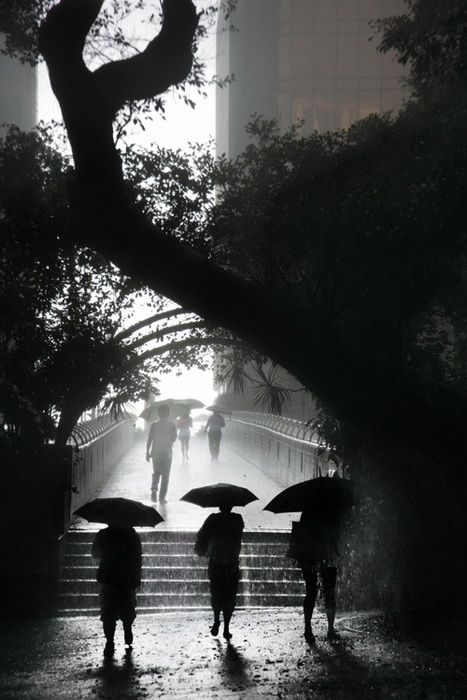 ОАР Сянган во время дождя в объективе французского фотографа