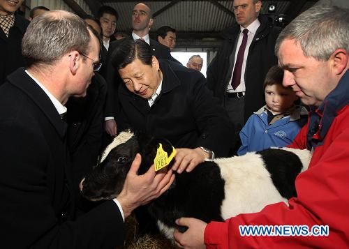 Си Цзиньпин посетил ферму в Ирландии
