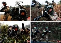 Проведены антитеррористические учения с боевыми патронами вооруженной полицией в провинции Чжэцзян