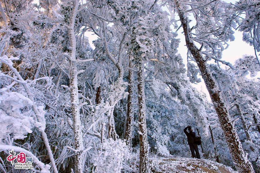 Сказочные пейзажи изморози в горах Дамучжи в провинции Фуцзянь