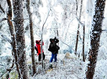 Сказочные пейзажи изморози в горах Дамучжи в провинции Фуцзянь