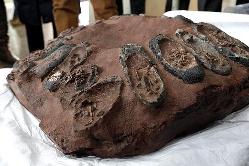 Китай успешно отвоевал контрабандную окаменелость со следами от яиц динозавров 1