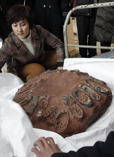 Китай успешно отвоевал контрабандную окаменелость со следами от яиц динозавров 2