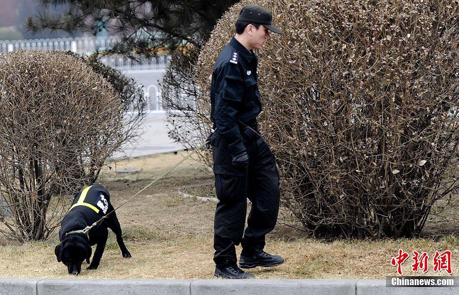 Накануне 5-й сессии ВСНП и ВК НПКСК 11-го созыва, полицейские проводят патрулирование с полицейскими собаками