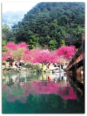 Красивые пейзажи Китая и Японии ранней весной 2