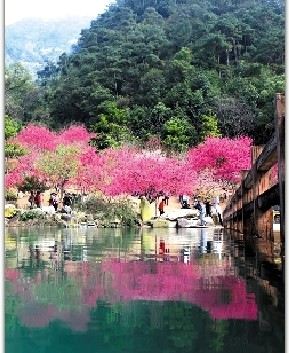 Красивые пейзажи Китая и Японии ранней весной