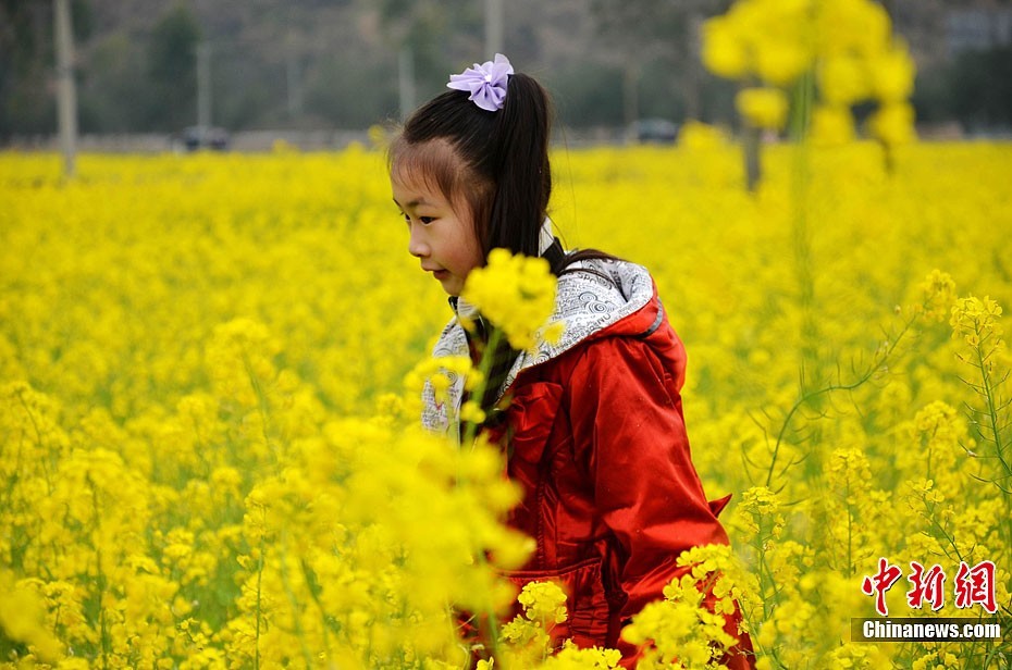 Мартовские цветы в разных местах Китая1