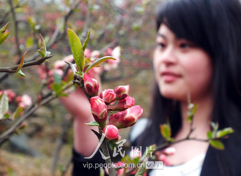 В городе Сюйчан провинции Хэнань радостно встречают весну6