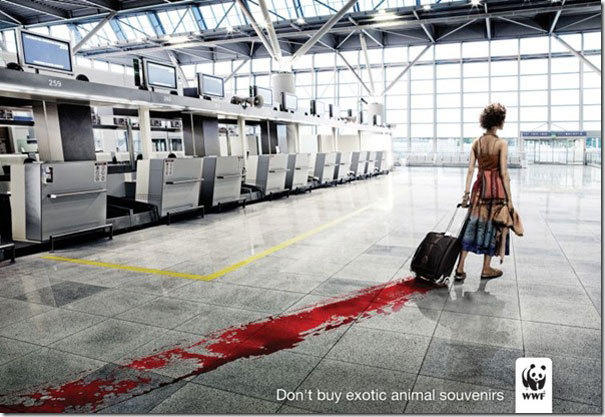Фото: экологические социальные рекламы WWF – пусть они живут