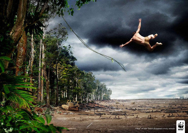 Фото: экологические социальные рекламы WWF – пусть они живут