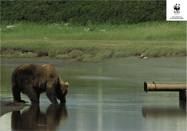 Фото: экологические социальные рекламы WWF – пусть они живут