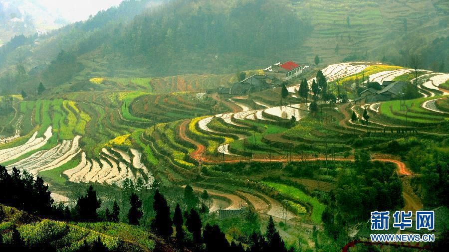 Живописные террасовые поля в провинции Шэньси