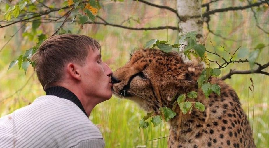 30 избранных фотографий за предыдущую неделю на веб-сайте «Хуаньцю»