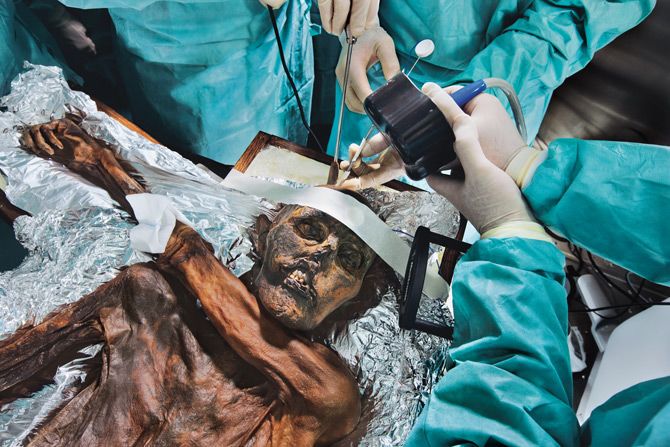 Секрет о мумии, хранившейся во льдах Альпийских гор в течение 5000 лет