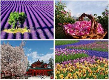 Лучшие места для наслаждения цветами в мире