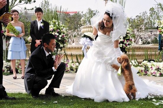 Романтические свадебные фотографии Ван Сюебина и Сунь Нин, сообщивших о разводе
