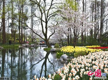 Красивые весенние пейзажи парка «Тайцзывань» в г. Ханчжоу