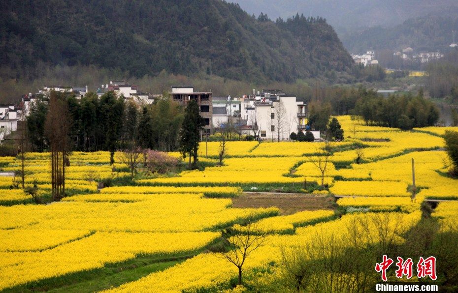 Прекрасные пейзажи в подножиях гор Циюньшань