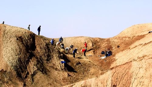 В Синьцзяне обнаружена самая крупная в Китае окаменелость динозавра юрского периода 1