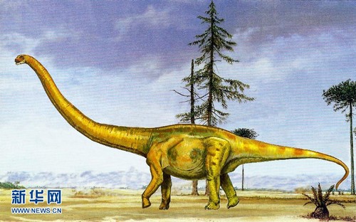 В Синьцзяне обнаружена самая крупная в Китае окаменелость динозавра юрского периода 4