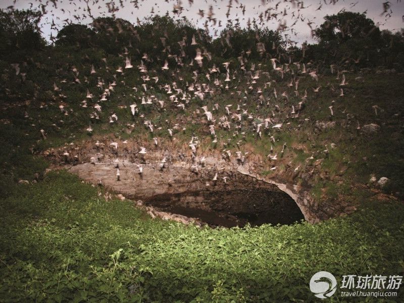 Посещение крупнейшей в мире пещеры летучих мышей