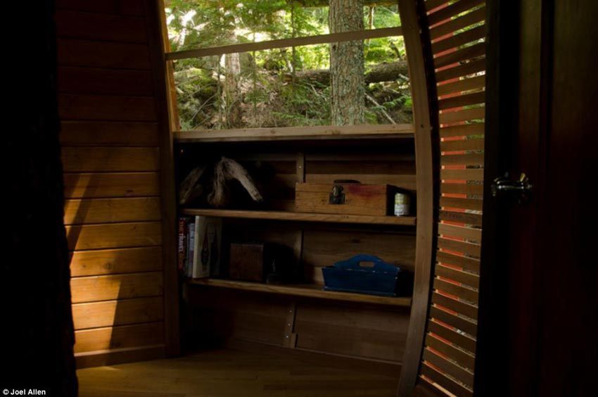 Канадец построил дом в форме яйца на дереве из-за нехватки денег для покупки квартиры