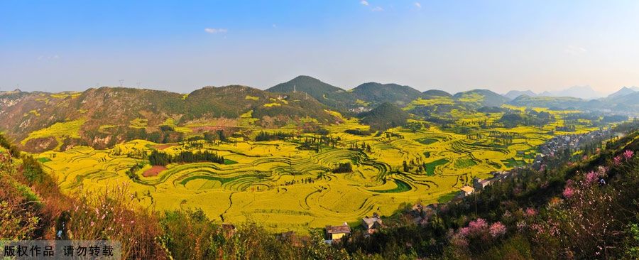 Впечатление о провинции Юньнань: море цветов в уезде Лопин