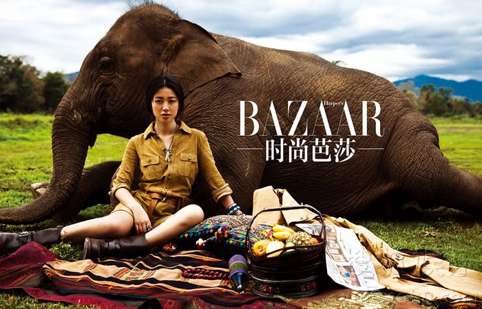 Супермодель Китая Чжу Чжу попала на «BAZZAR»