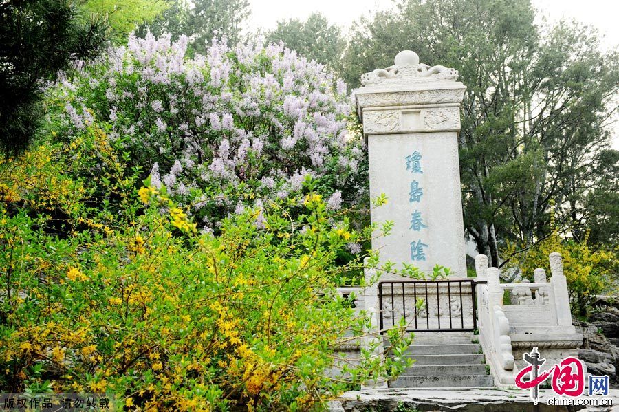 Чарующие весенние пейзажи острова Цюнхуадао в парке Бэйхай Пекина