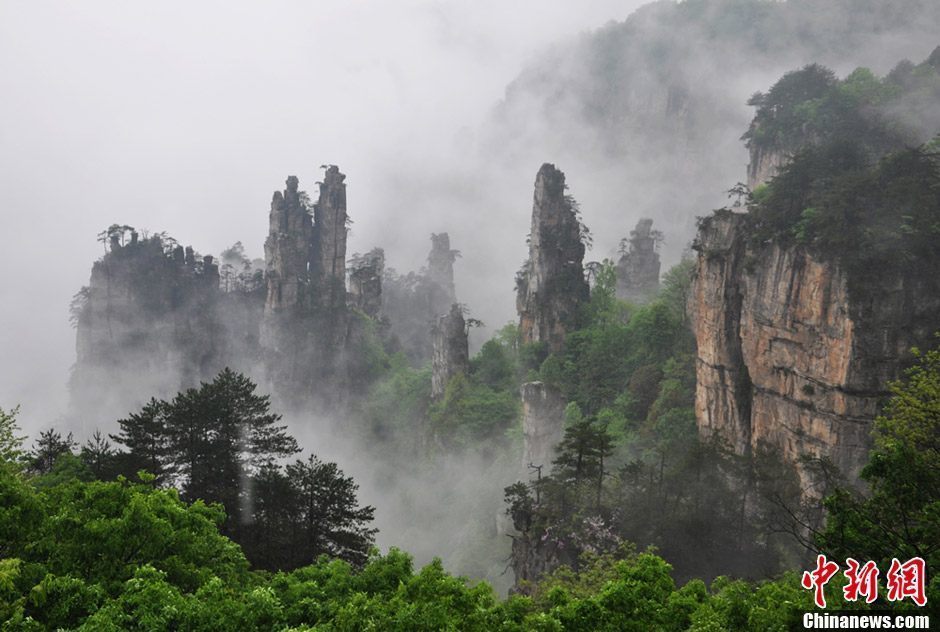 Сказочное море облаков в пейзажном районе Чжанцзяцзе