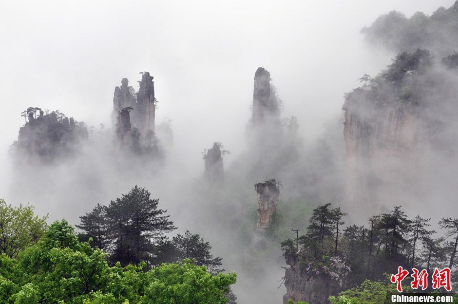 Сказочное море облаков в пейзажном районе Чжанцзяцзе