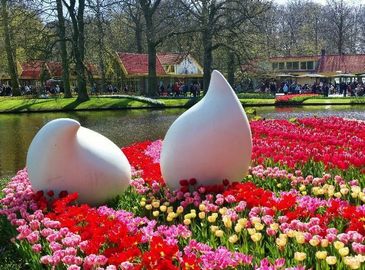 Самый красивый летний сад в мире – парк Кейкенхоф в Нидерландах