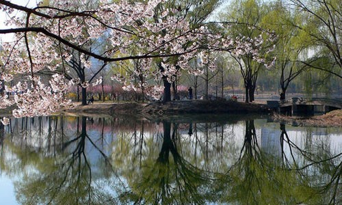 Лучшие места для любования летними пейзажами Пекина 4
